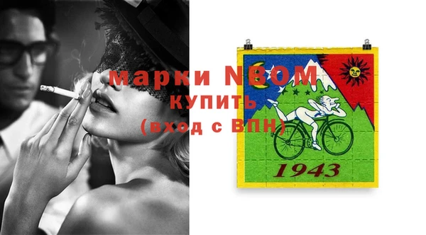 гашик Ельня