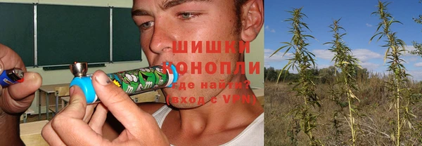 PSILOCYBIN Алексин