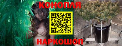 apvp Рузаевка