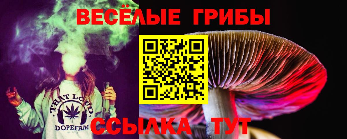Псилоцибиновые грибы Cubensis  Псилоцибиновые грибы GOLDEN TEACHER  Вход с VPN  Томск 